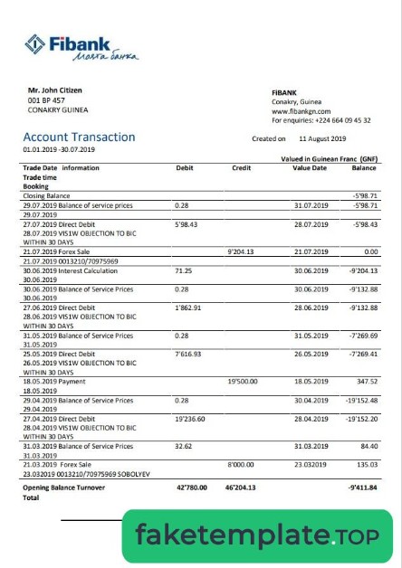 Feature of fake Guinea Fibank bank statement